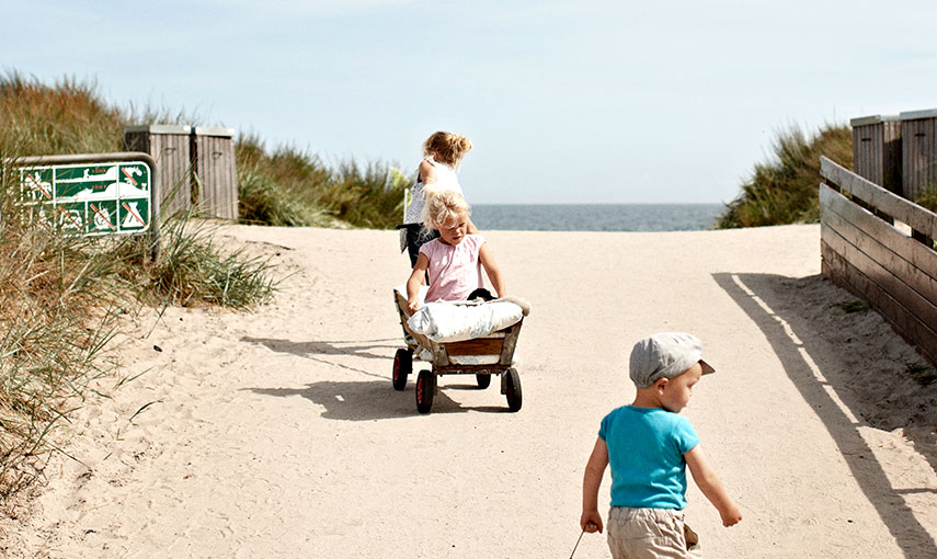 Ferienhaus Falster Knuthenborg Safaripark