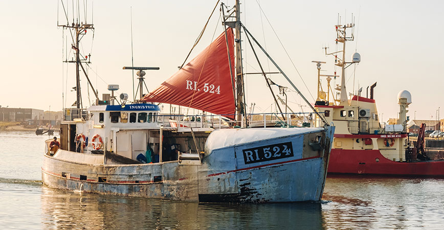 Hvide Sande Kutter im Hafen