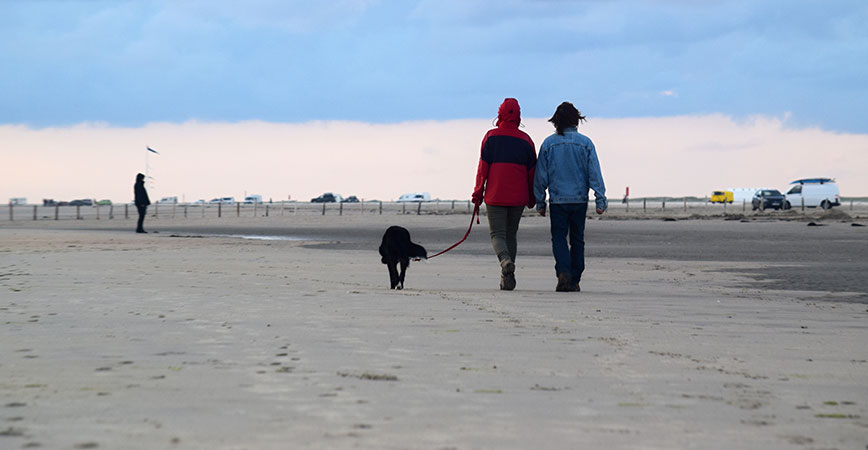 Rømø mit dem Hund am Strand