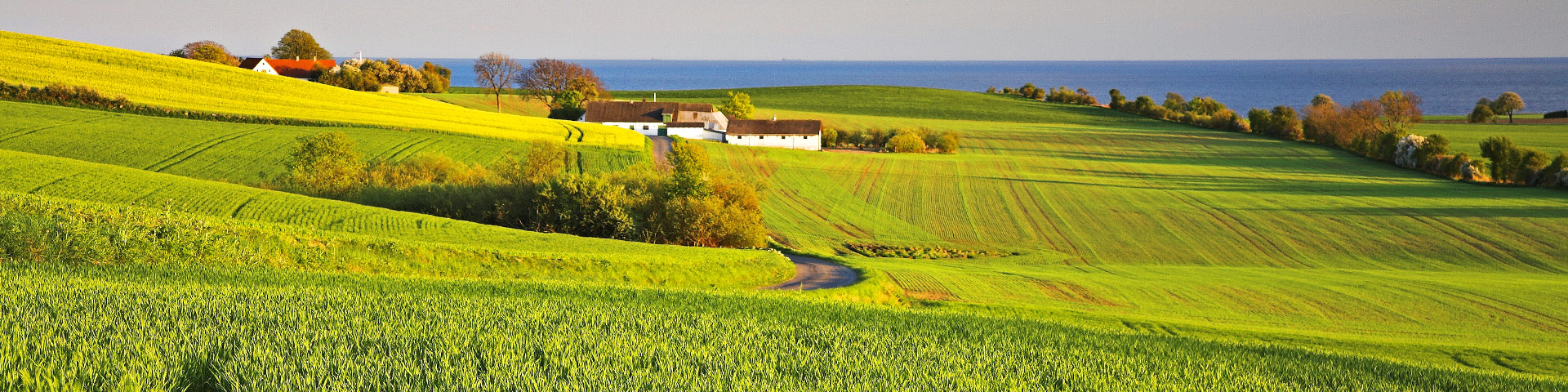 Ferienhaus Lolland