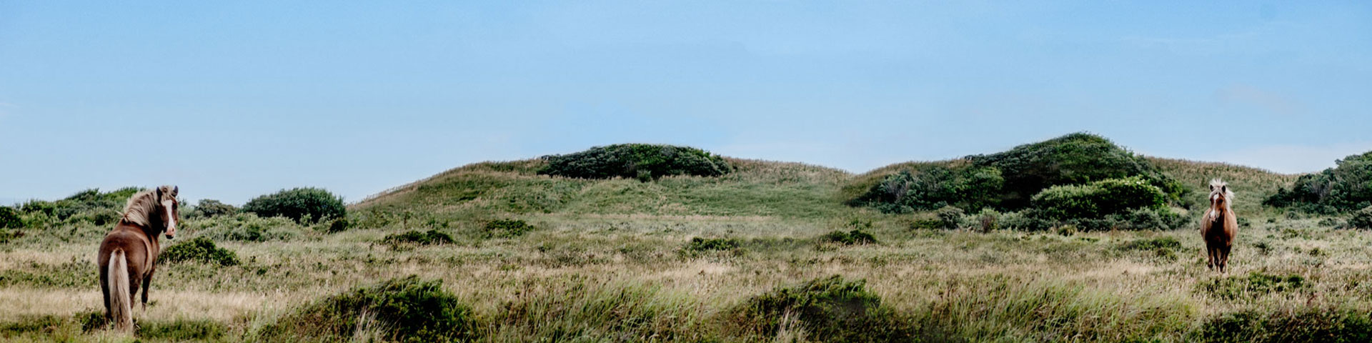 Reiturlaub in Dänemark