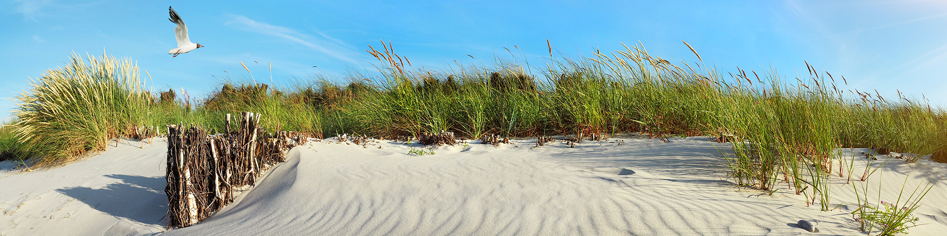 6 Tipps für Deinen Dänemarkurlaub